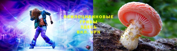 ALPHA PVP Инсар