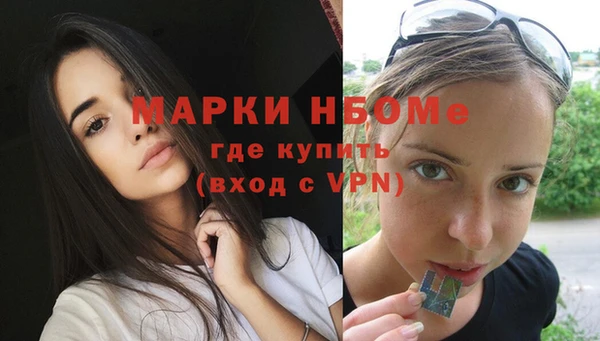 сатива Иннополис