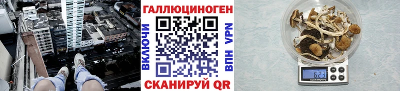 Псилоцибиновые грибы прущие грибы  Купить  Переславль-Залесский 